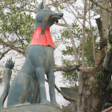 IMG_2805.JPG