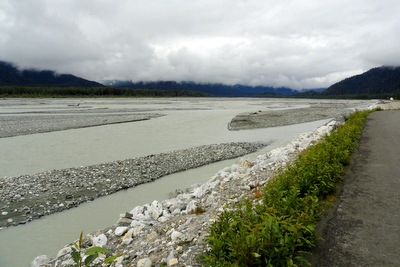 [DSC05778 Chilkat River[2].jpg]