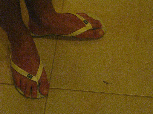 Smallest Lizard Ever