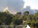 Fire at 5pm burning west