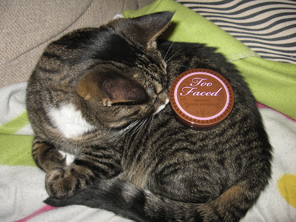 Cream Bronzer