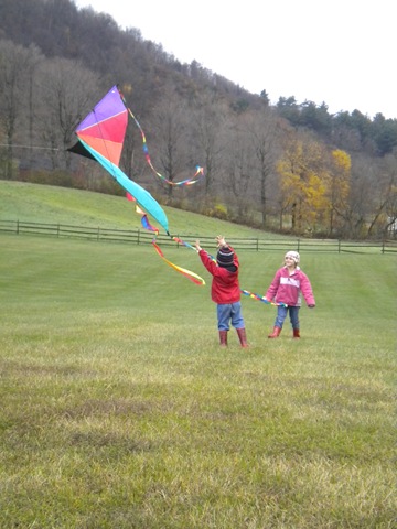 [kite43.jpg]