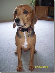 tucker