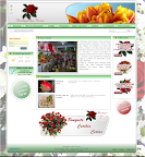 Boutique das Flores: Desenvolvi o layout e fiz a estruturação do site no sistema Webgenium.