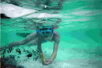 Under Water - 08.jpg
