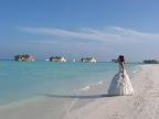 Wedding Dress - 164.jpg