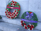 IMGP1645.JPG