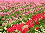 DSCN4500.JPG