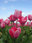 DSCN4504.JPG