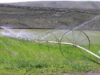 DSCN4543.JPG