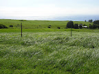 DSCN7354.JPG