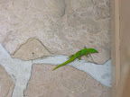 DSCN7402.JPG