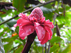 DSCN7546.JPG