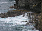 DSCN7830.JPG