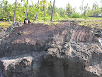 DSCN7859.JPG