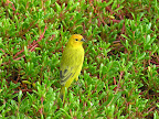 DSCN7867.JPG