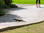DSCN8030.JPG