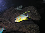 DSCN8190.JPG