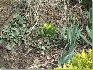 IMG_0236 IMG_0236