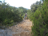 MV2010 (2).jpg Photo MV2010 (2).jpg Photo
