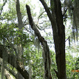 Miscellaneous Pictures
