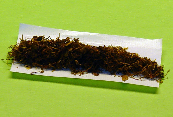 Montagem do cigarro Cigarro montado de forma avulsa