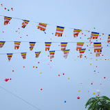 DSC_0199.JPG
