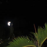 IMG_2545.JPG