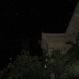IMG_2551.JPG