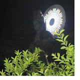 IMG_2816 copy.jpg