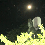 IMG_2817.JPG