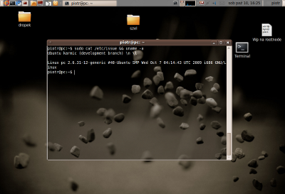 Ubuntu 9.10 Karmic Koala