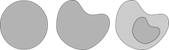 d1 d1