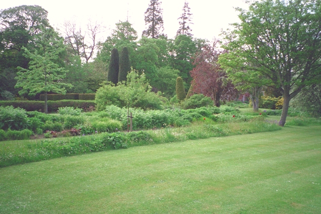 IMG0032.jpg