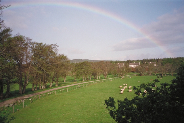 IMG0010.jpg