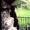 2-26-2010_007.jpg