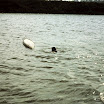 1-28-2010_081.jpg