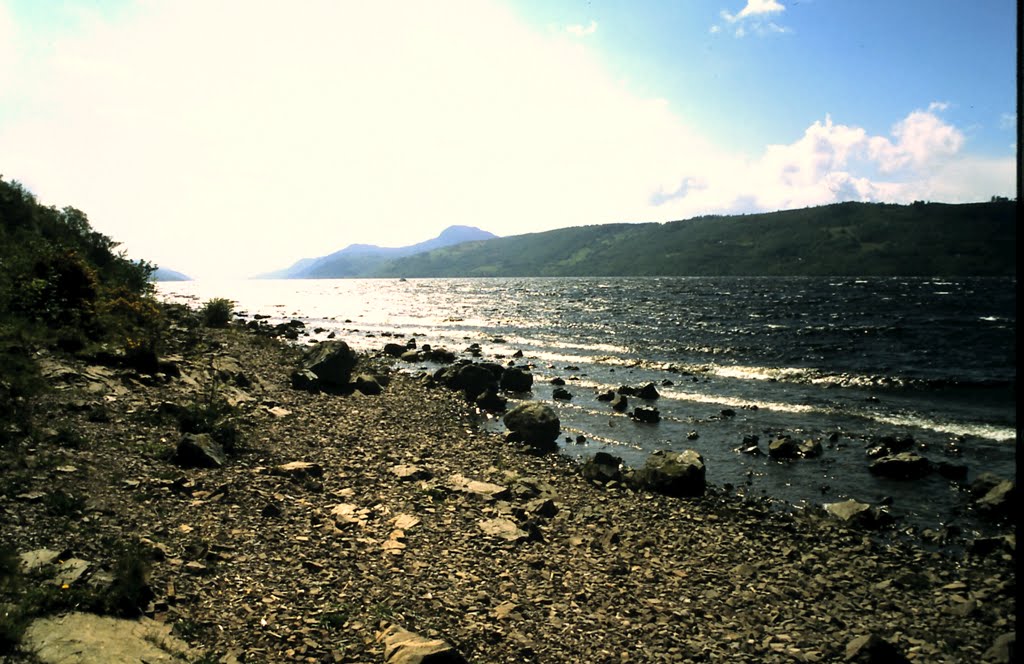 1-27-2010_070.jpg