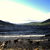 1-27-2010_069.jpg