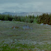 2-26-2010_025.jpg
