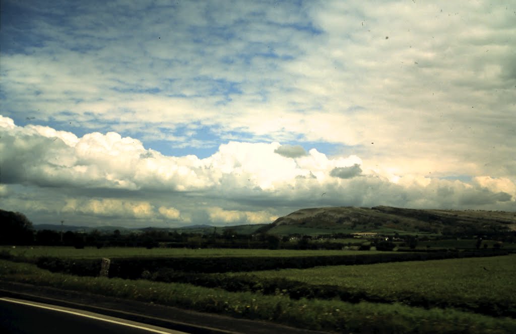 1-27-2010_007.jpg