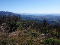 PC220069.JPG