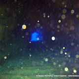 02-16-10 - AM Dives - Eye of the Needle, Bullwinkle West
