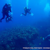 07-25-10 - AM Dive - Sand Chute, Angelfish