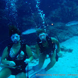 07-18-10 - Turtle Reef