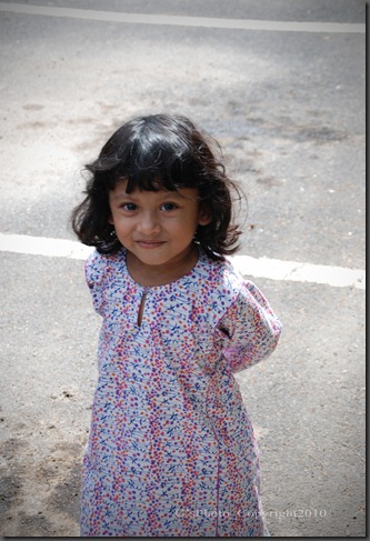 DSC_0012 DSC_0012