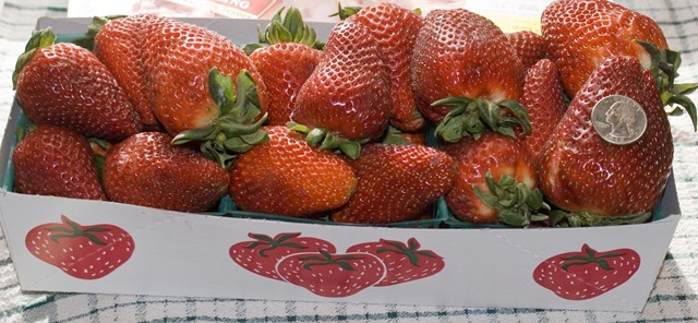 [California strawberries 4-2-10[2].jpg]