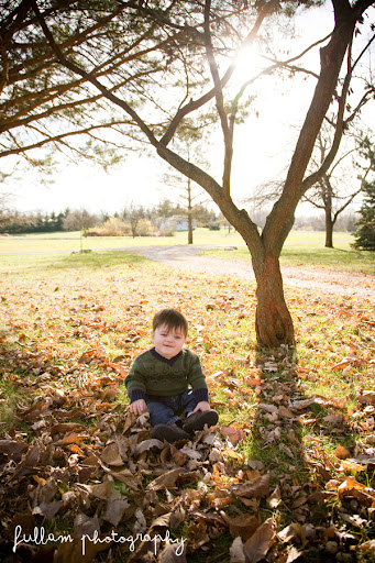  :: McIntosh | Family :: 