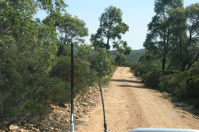 Wadbiliga National Park New South Wales Australia