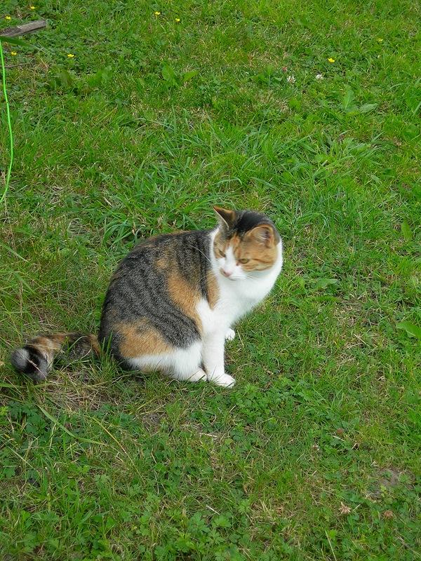 DSCN3732